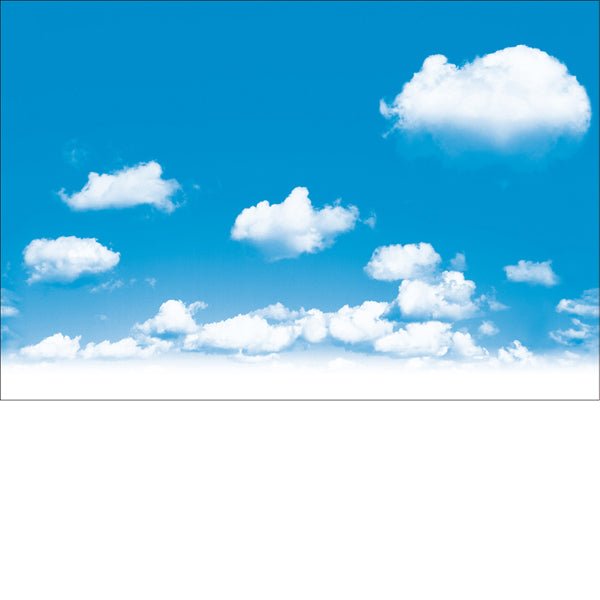 青空 ビニール幕 H600×50m巻