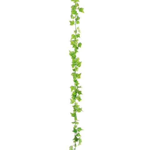 ミニアイビーガーランド 2本入